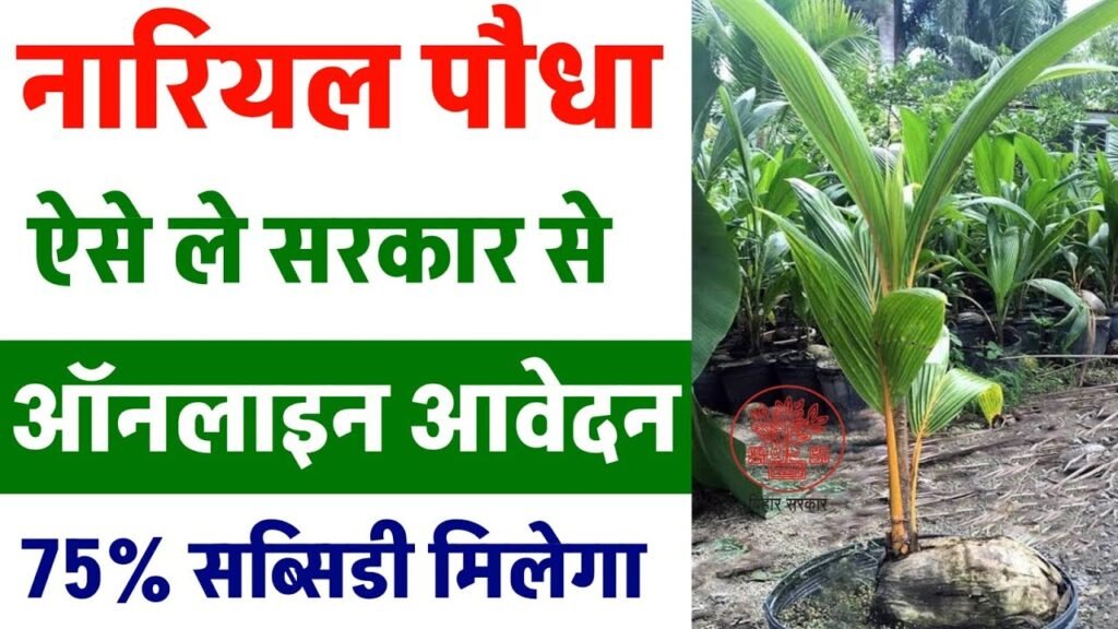Bihar Nariyal Paudha Yojana 2025